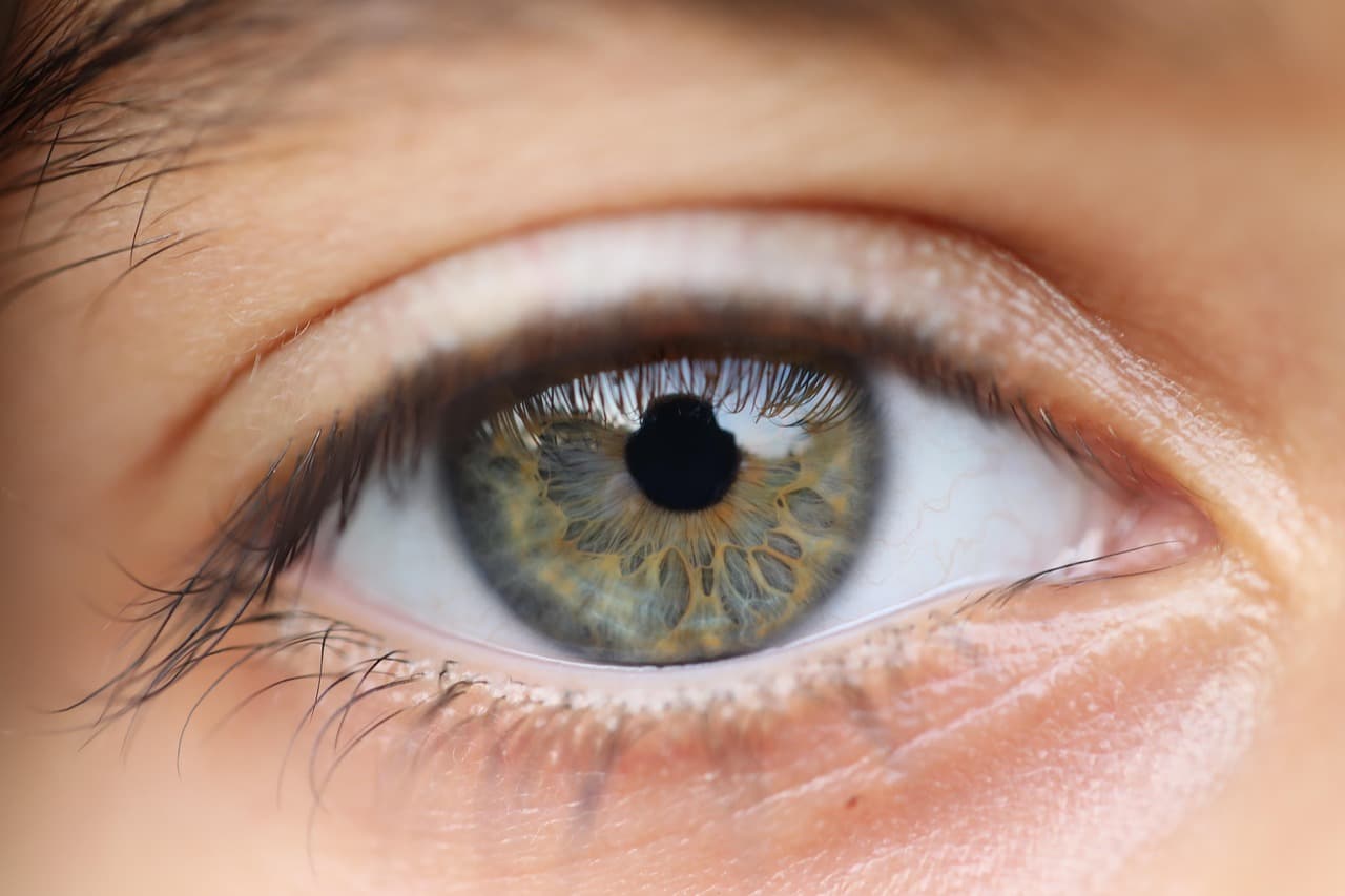 Close-up of an open eye beneath a soft, shaped brow